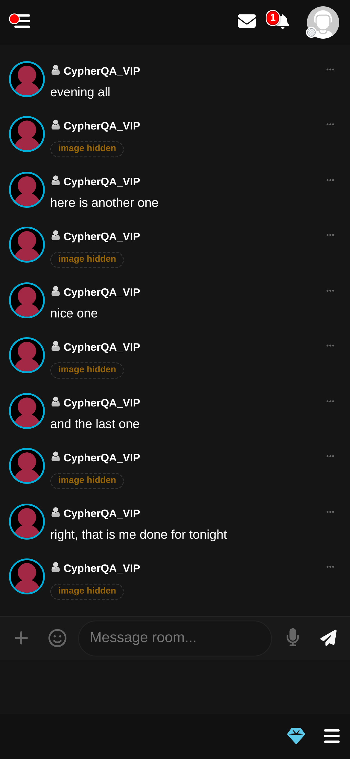 The same chat room with Safe Mode on: images replaced by a plain placeholder