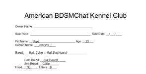 American BDSMChat Kennel Club.png